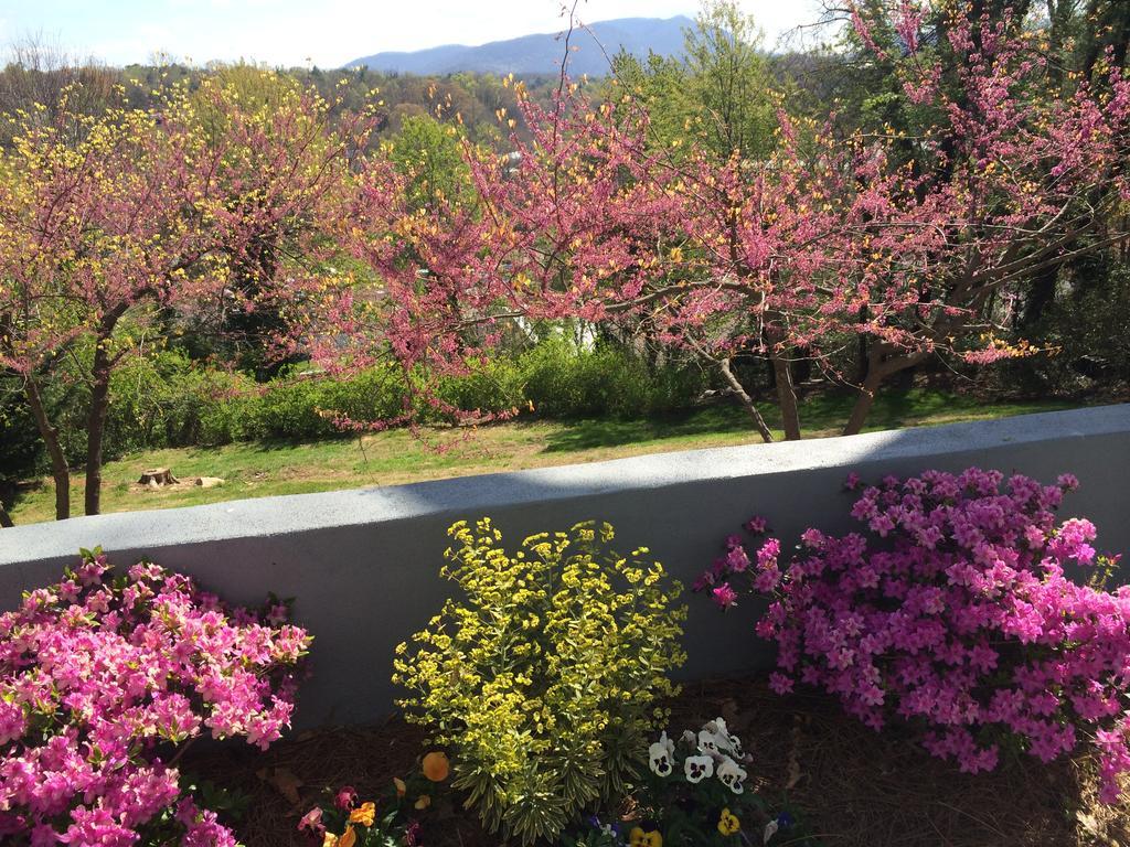 Biltmore Village Inn B&B Asheville Esterno foto